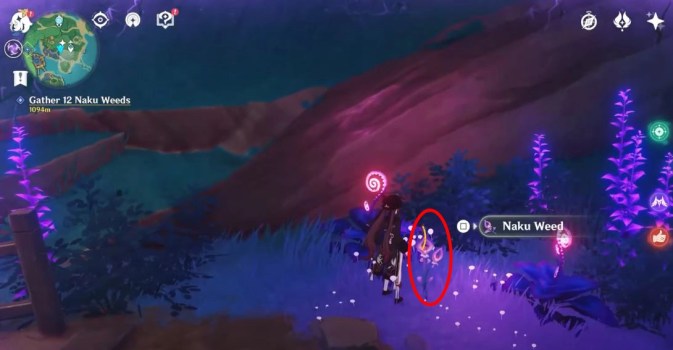 genshin impact naku weed
